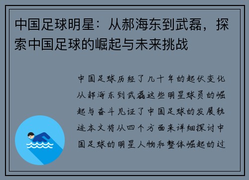 中国足球明星：从郝海东到武磊，探索中国足球的崛起与未来挑战